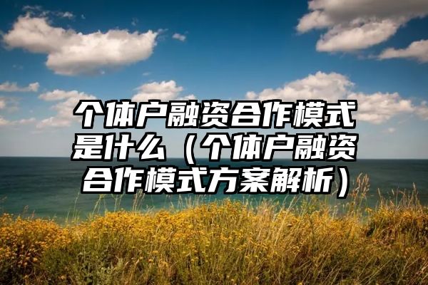 个体户融资合作模式是什么（个体户融资合作模式方案解析）