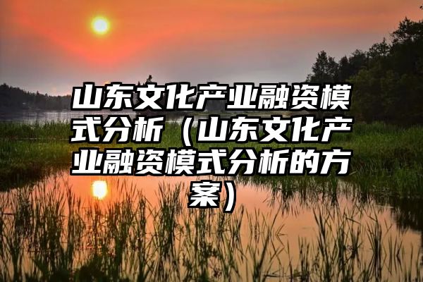 山东文化产业融资模式分析（山东文化产业融资模式分析的方案）