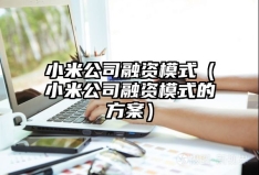 小米公司融资模式（小米公司融资模式的方案）